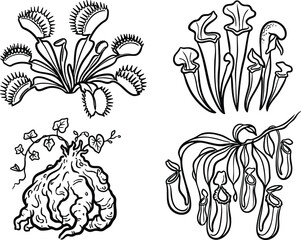 Line art illustration featuring various exotic carnivorous plants like Venus flytrap and pitcher plants alongside a mysterious root tuber vine botanical drawing © GraphicGrove