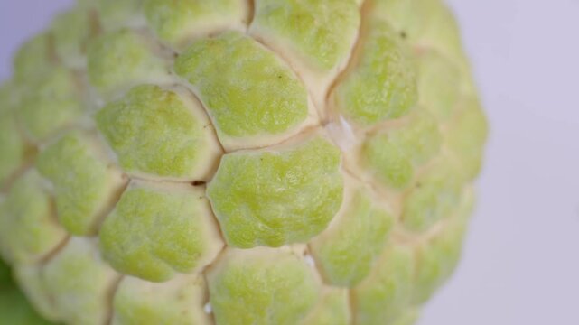 Fresh whole custard apple (sugar apple / sweetsop) slowly rotating in a seamless loop. Close-up shot highlighting the unique green textured skin and natural pattern