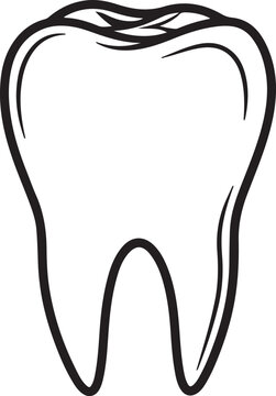 Tooth Illustration with Detailed Enamel and Root Structure, Black and White Dental Diagram, Educational Medical Concept