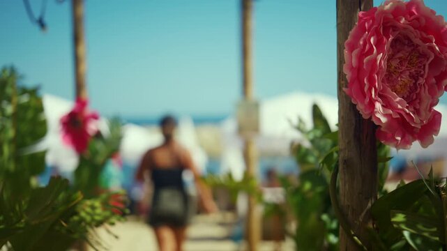 Close up of a pink flower attached to a wooden post near a seaside promenade, with beach visitors and ocean scenery softly blurred in the background