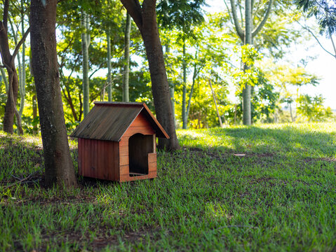 Casinha para cachorro feita de madeira na grama em um parque arborizado / Wooden dog house on the grass in a wooded park