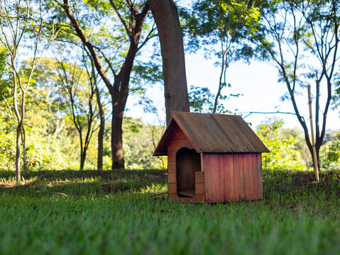 Casinha para cachorro feita de madeira na grama em um parque arborizado / Wooden dog house on the grass in a wooded park