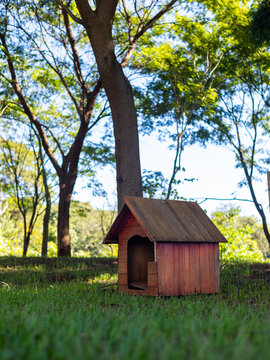 Casinha para cachorro feita de madeira na grama em um parque arborizado / Wooden dog house on the grass in a wooded park