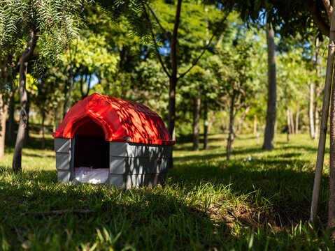 Casinha para cachorro colorida na grama em um parque arborizado / Colorful doghouse on the grass in a wooded park