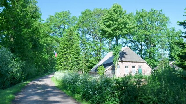 Traditional dutch farmhouse with a thatched roof in a lush forest landscape