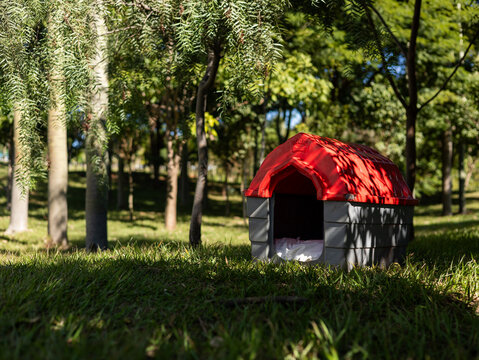 Casinha para cachorro colorida na grama em um parque arborizado / Colorful doghouse on the grass in a wooded park