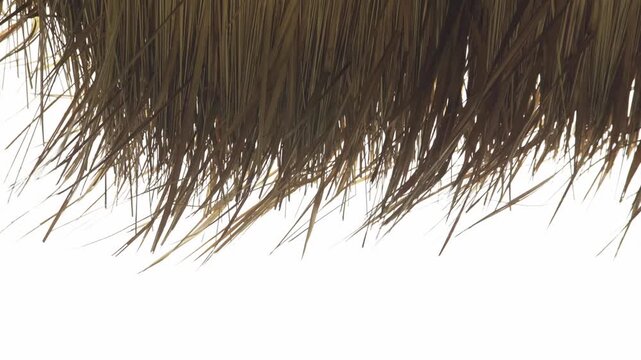 Thatched Grass Roof Swaying Gently in the Wind, Rustic Tropical Architecture, 4K Video Footage