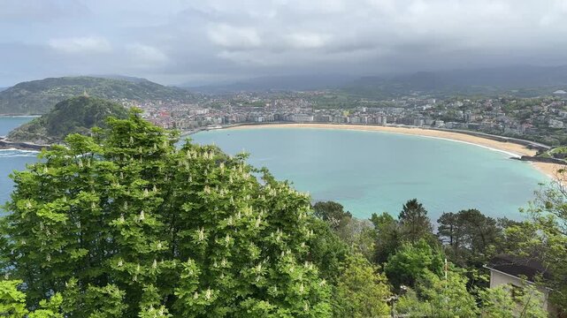 San Sebastian La Concha Bay Panoramic View Blooming Chestnut Tree Cloudy 4K 60fps
