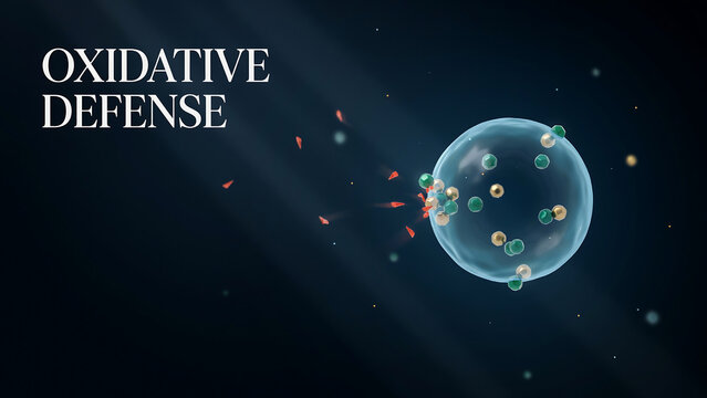 Oxidative defense concept with cell and free radicals on dark background with light rays and particles  health and science