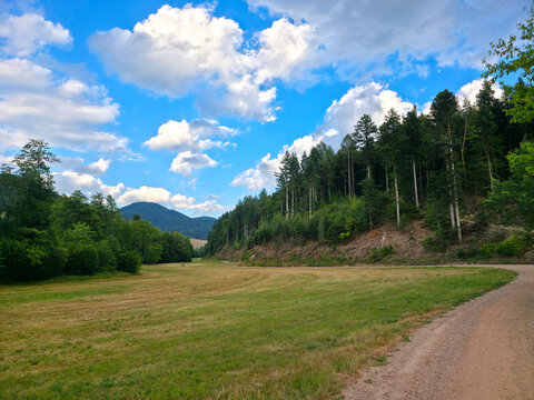 germany, curved hiking trail beside black forest edge through peaceful elz valley glowing beneath colorful summer sunset in breathtaking nature landscape
