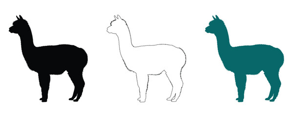 Fototapeta premium Llama silhouettes black outline teal vector graphics for design projects