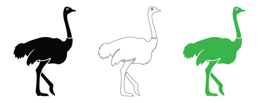 Ostrich trio black silhouette white outline and vibrant green vector illustrations