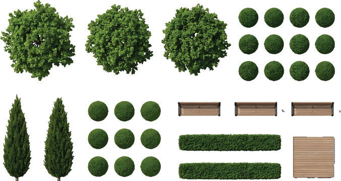 Top view landscape architecture elements set with trees shrubs hedges and wooden benches for site planning