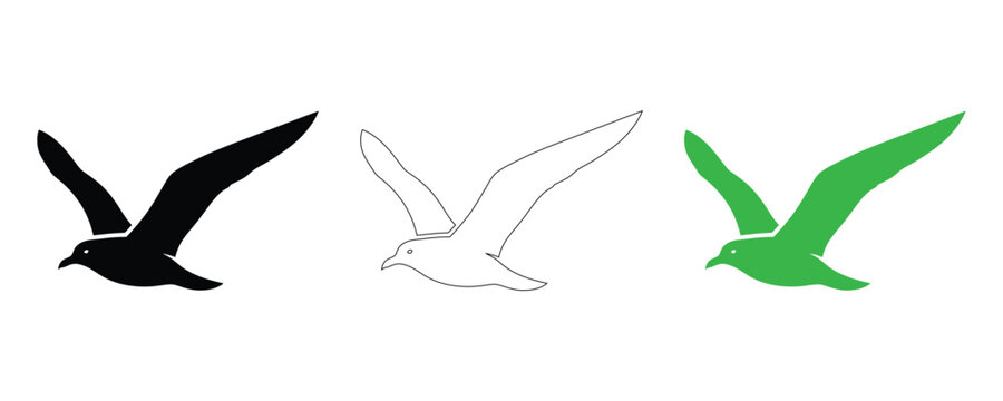 Seagull silhouettes black white outline and lime green variations for design projects