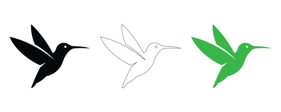 Hummingbird silhouettes and line art black white and vibrant green variations
