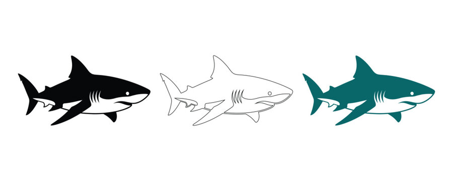 Great white shark illustrations black outline teal color variations for design projects