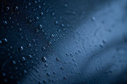 Water droplets are visible on a dark, textured surface under low light.