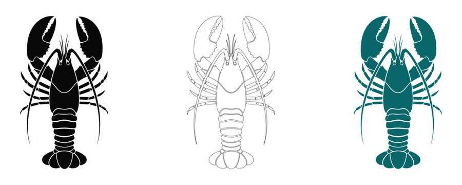 Lobster illustrations black line art teal variations for seafood branding design
