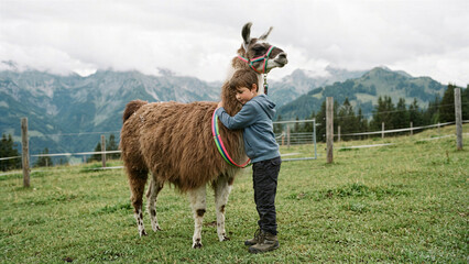 Fototapeta premium Child with emotional trauma hugging large llama on mountain ranch with neon harness on green grass