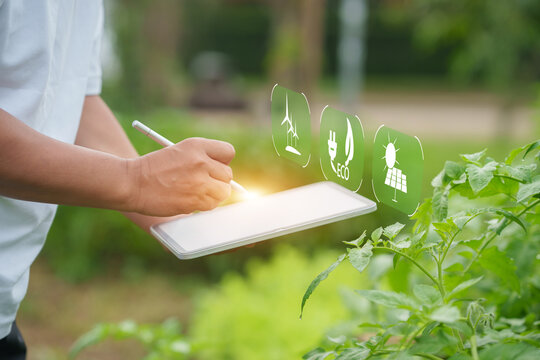 Smart Farming and Sustainable Energy Technology Integration in Vegetable Field