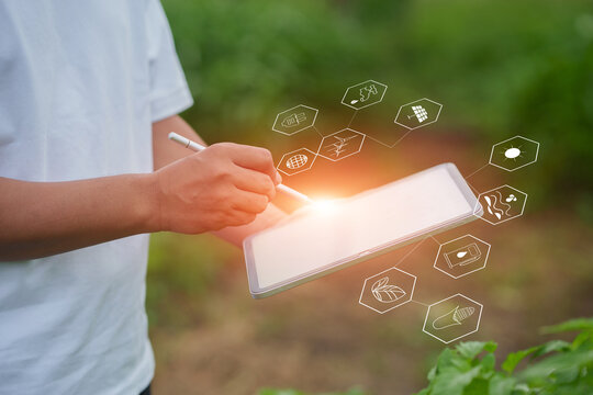Smart farming management and the integration of digital tablets on farms.
