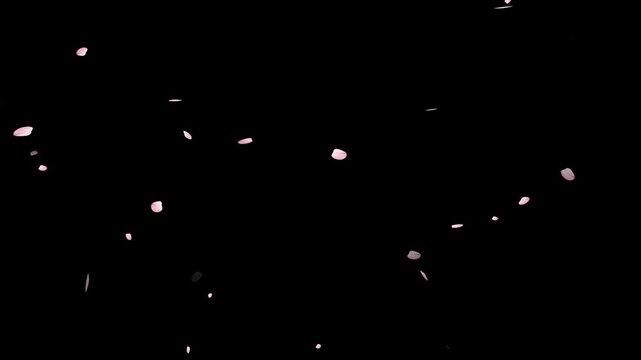 Pink cherry blossom petals falling gracefully on transparent background.Spring Easter Overlay. Animated sakura petals.Spring animation (4K).