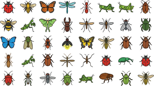 Insects and bugs on white background.