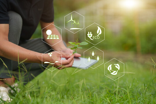 Smart Agriculture and Sustainable Green Technology Concept