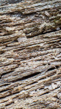 texture of old wooden surface
