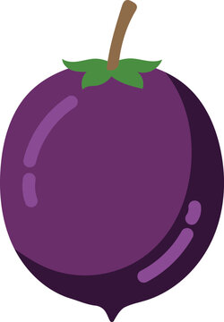 A simple flat vector illustration of a dark purple hackberry fruit with a brown stem and small green leaves, featuring stylized light reflections and a subtle shadow to create a clean, modern digital 