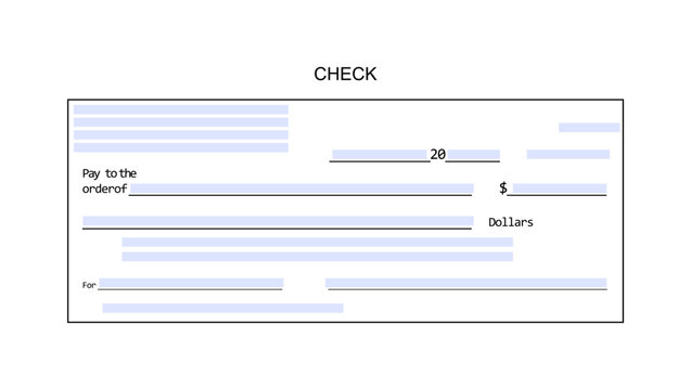 bank check fillable form, color vector illustration