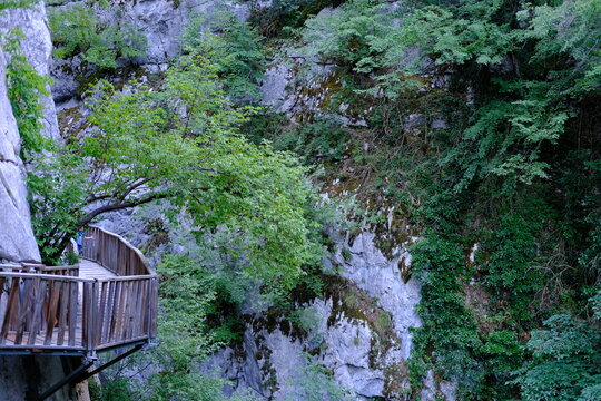 Wooden walkway path through narrow rocky canyon gorge with greenery