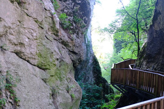 Wooden walkway path through narrow rocky canyon gorge with greenery