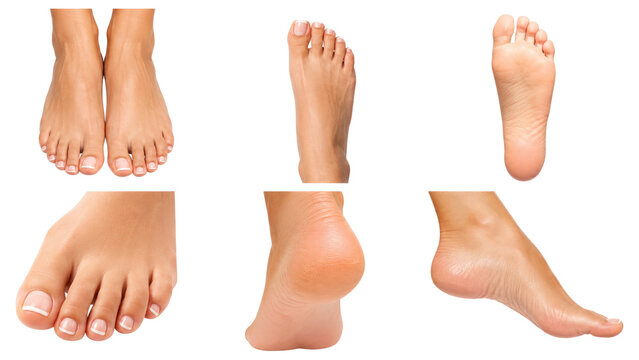 Multiple close-up views of clean bare female feet showing toes, nails, soles, heels and arches on a transparent background for beauty, medical, spa and stock use