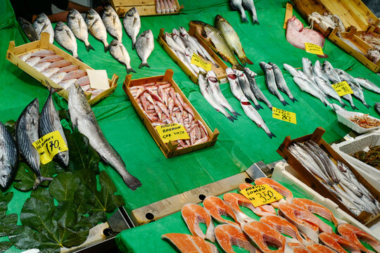 A colorful assortment of fresh fish and salmon fillets for sale at a traditional Turkish market stall.
