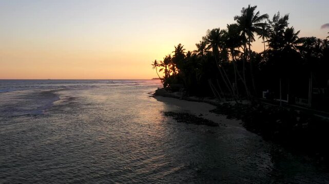 Cinematic Drone Flight Towards Palm Trees at Sunset, Sri Lanka