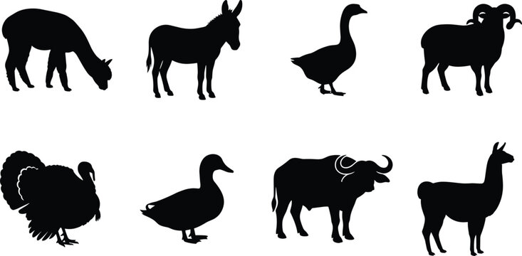 Black Silhouette Vector Set of Farm Animals Livestock and Poultry Icons on White Background (15 words)