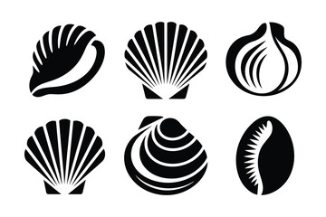 Black and white illustration of various seashells on a white background © MSTTASPRIYA