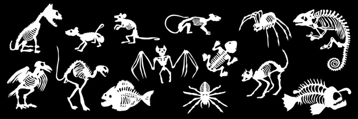 Halloween skeleton set. Animal Skeleton Collection Set. Vector Fossil Bones Silhouettes Isolated on Black Background © MJD_Studio