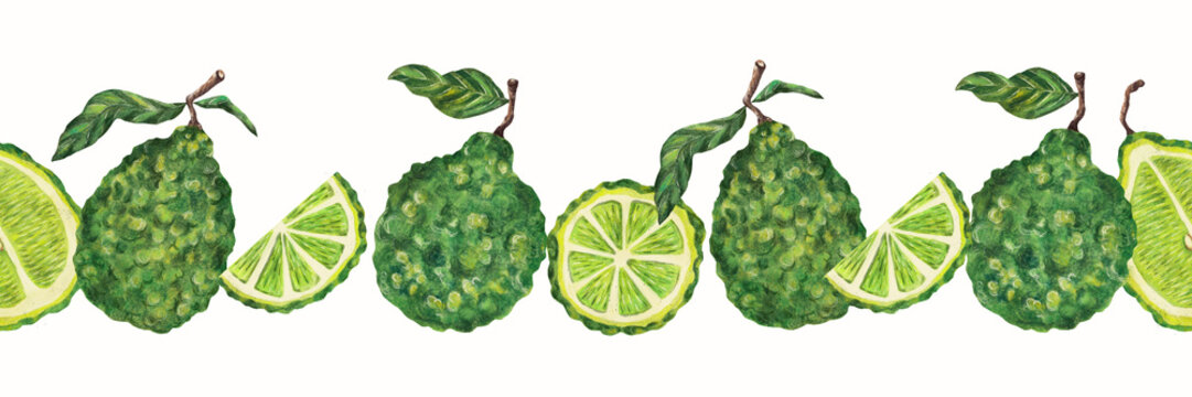 Watercolor bergamot seamless border with citrus fruits and leaves
