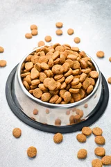Dogs' food in metal a plate. Dry animal feed in a bowl close up. Dry food for puppies or dogs in a small bowl. Close up. © Yaruniv-Studio
