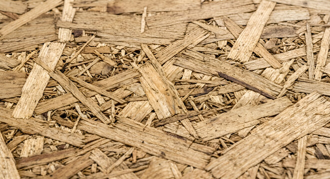 OSB wood texture background. Oriented strand board panel surface pattern.