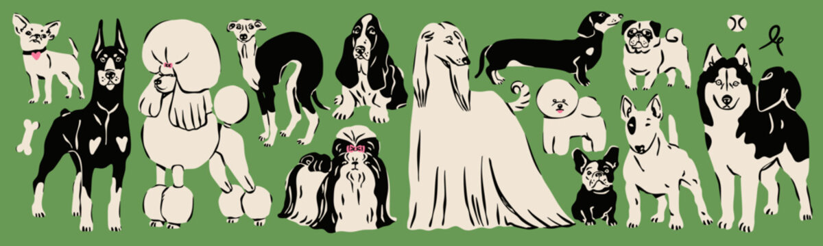 Different Dogs set. Various breeds. Cute funny domestic animals in various poses. Doberman, chihuahua, afghan hound, poodle, greyhound, bull terrier, husky, pug etc. Hand drawn Vector illustration