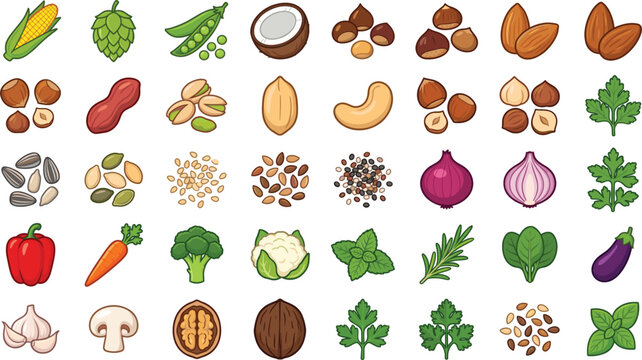 Plant based food icons vector illustration collection featuring healthy vegetables nuts seeds and herb elements