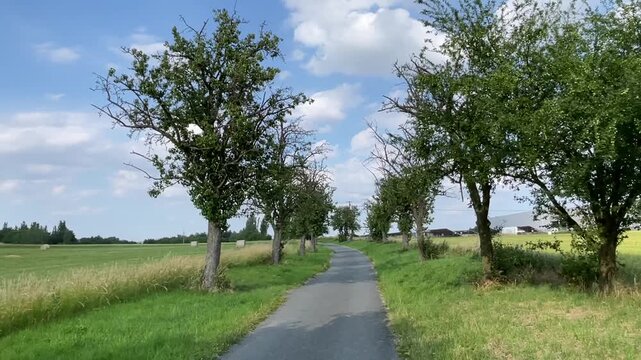 Narrow paved country lane runs center foreground into midground, flanked by rows of deciduous trees and grassy verges; round hay bales dot open fields left