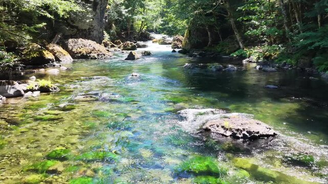 Fresh water flows down the Clackamas River in Northwestern Oregon, not far from Salem. Originating in the Mt. Hood National Forest, this beautiful 83-mile river is a tributary to the Willamette River.