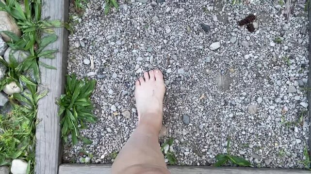 A sensory walking path with different textured surfaces, barefoot therapy. POV bare foot moving across wooden raised bed compartments filled with river stones, gravel, bark mulch and sandy soil