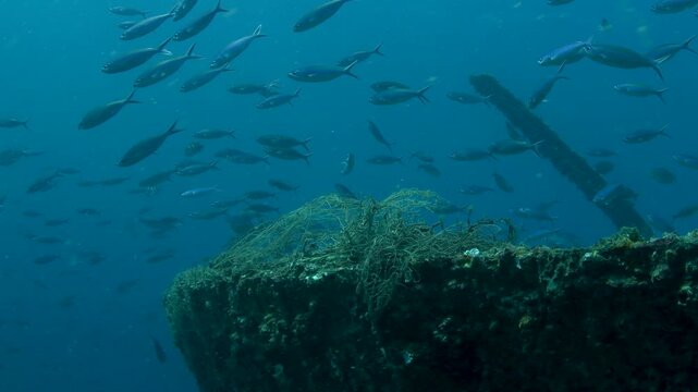 Ghost Fishing Net Tangled on Underwater Wreck with Schooling Fish