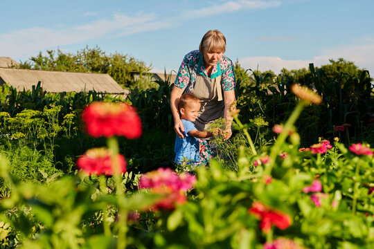 A child stands next to an adult in a garden. They are working with plants together under a clear sky. Flowers bloom around them in various colors