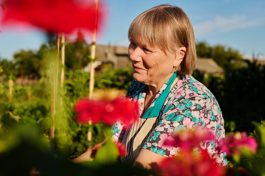 An elderly woman tends to her garden, surrounded by blooming flowers. It is a sunny day in a rural area. She smiles while caring for her plants